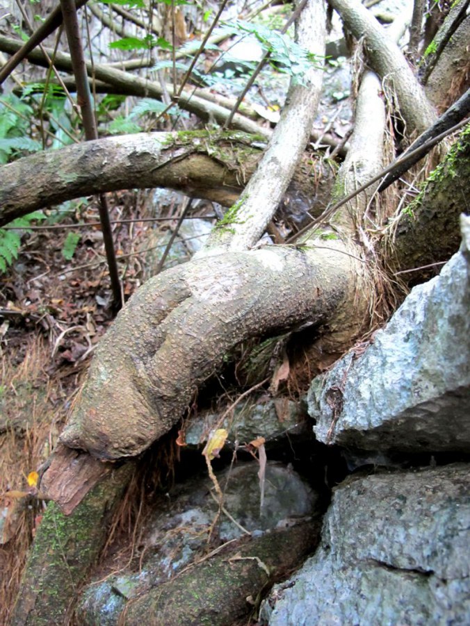 ���� 074_����.jpg