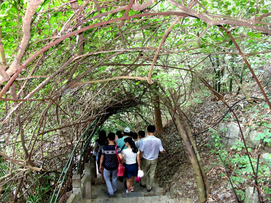 ���� 078_����.jpg