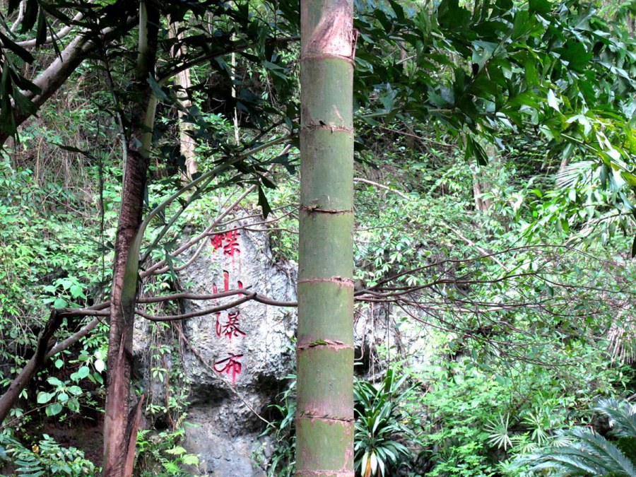 ���� 090_����.jpg