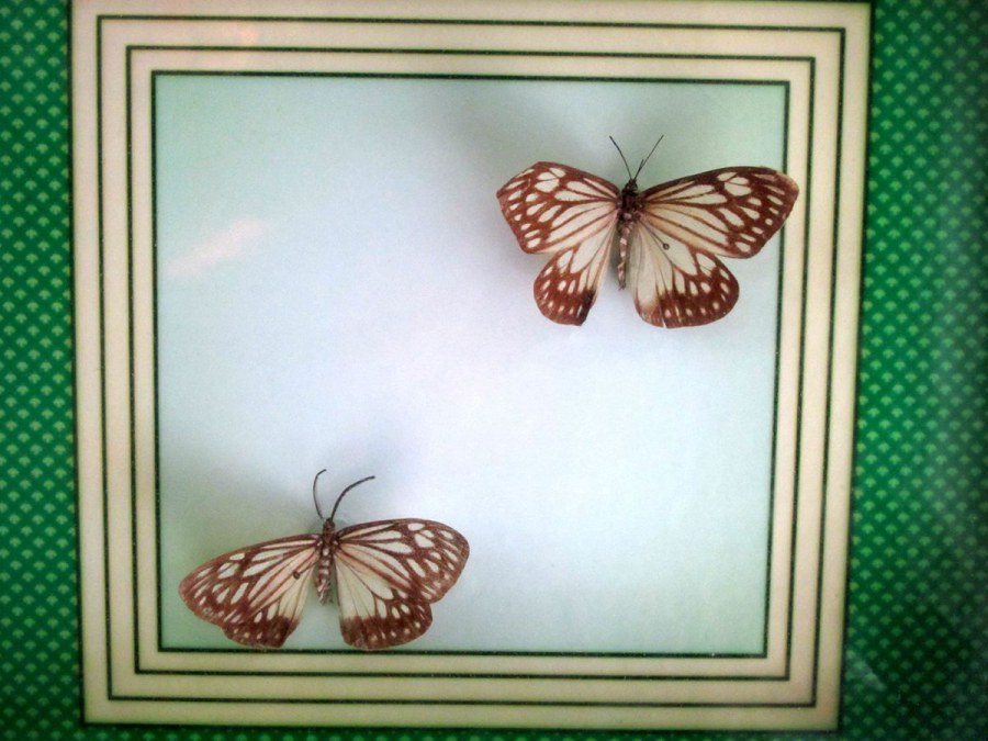 ���� 163_����.jpg