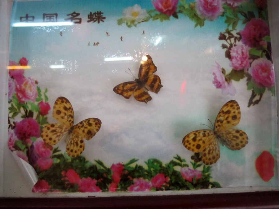 ���� 164_����.jpg