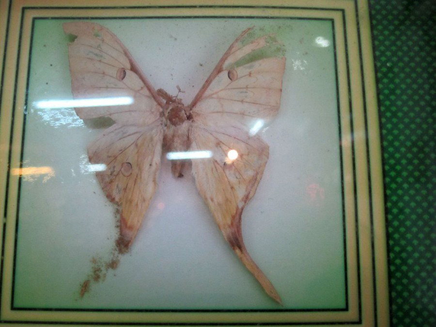 ���� 165_����.jpg