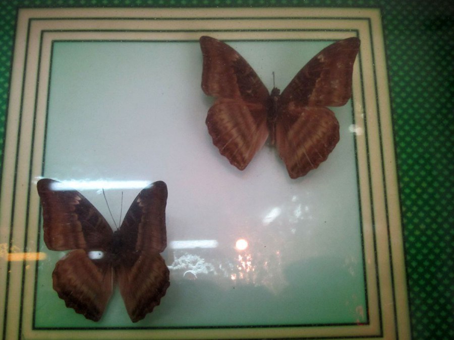 ���� 166_����.jpg