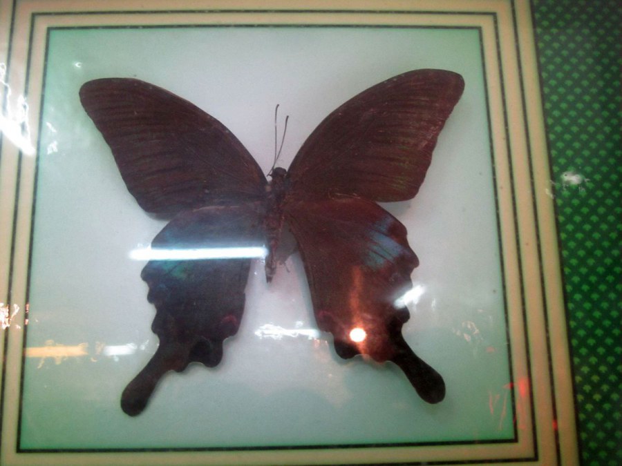 ���� 167_����.jpg