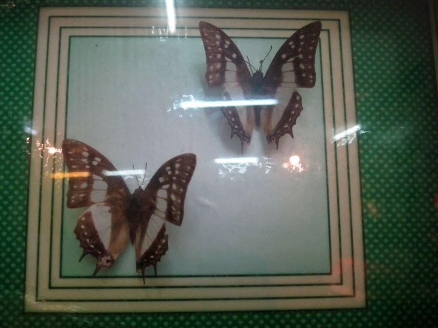 ���� 168_����.jpg