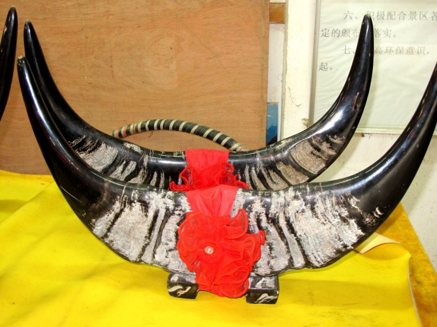 ���� 169_����.jpg