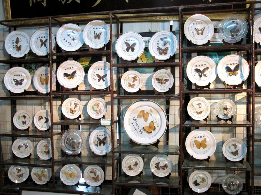 ���� 170_����.jpg