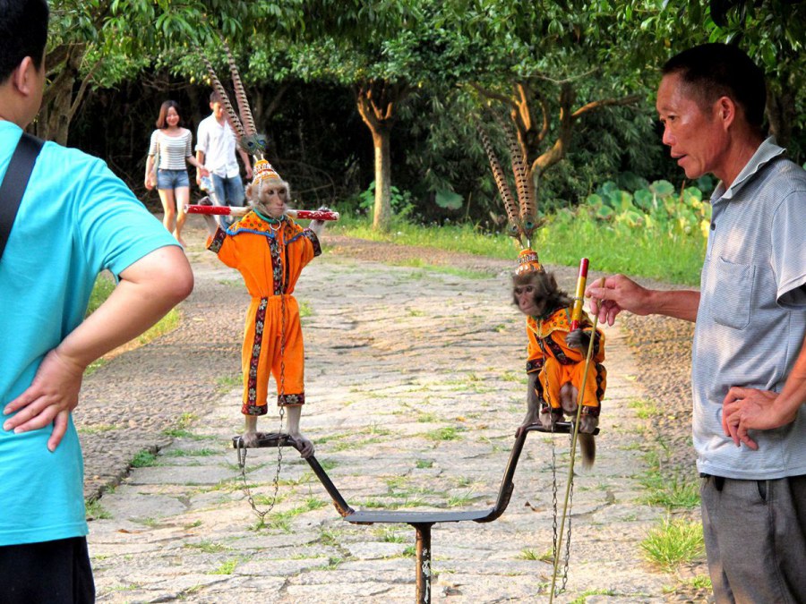 ���� 171_����.jpg