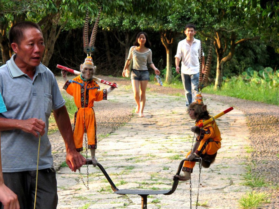 ���� 172_����.jpg