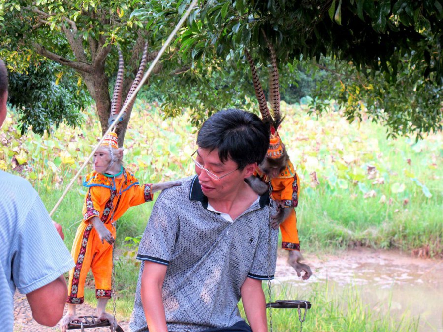 ���� 178_����.jpg