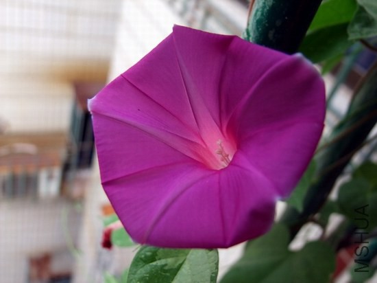 DSCF1616.JPG