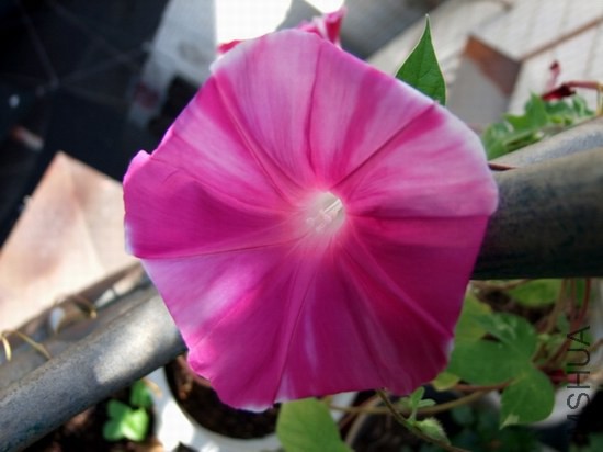 DSCF1903.JPG