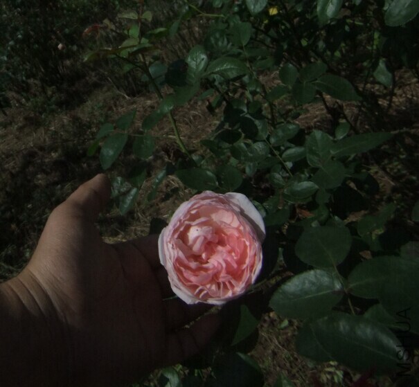 QQͼƬ20140920171251.jpg