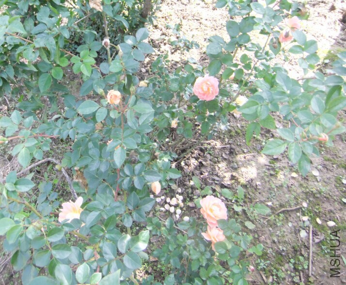 QQͼƬ20140920171306.jpg