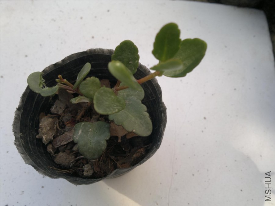2014-09-17-1586.jpg