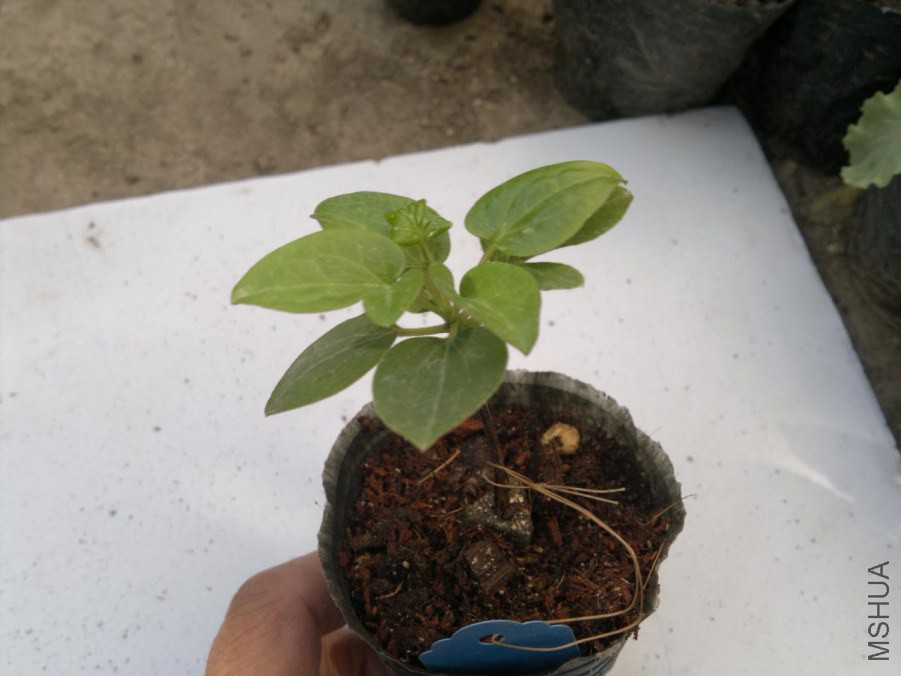 2014-09-17-1588.jpg
