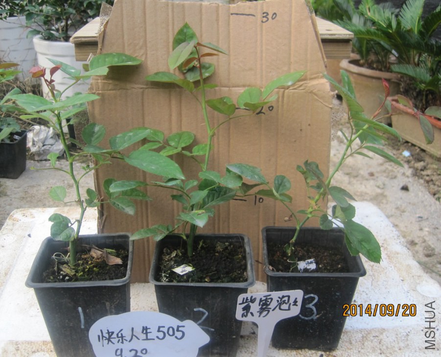 ��������.jpg