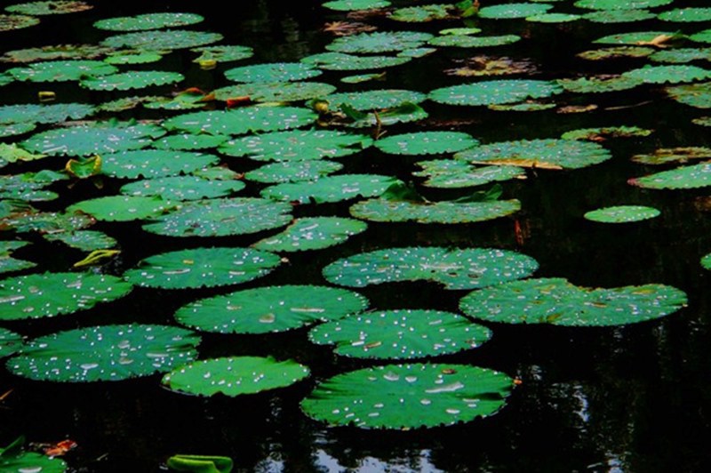 psb (78)_����.jpg