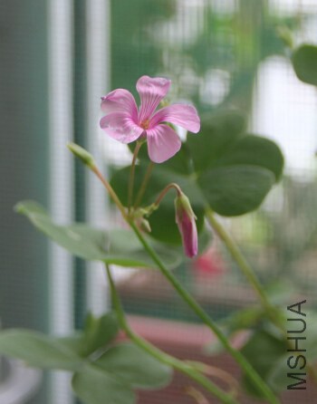 QQ��ͼ20140920215916.jpg