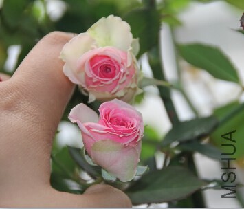QQ��ͼ20140920221426.jpg