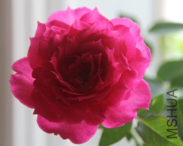 QQ��ͼ20140920222015.jpg