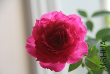 QQ��ͼ20140920222302.jpg