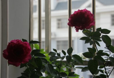 QQ��ͼ20140920222102.jpg