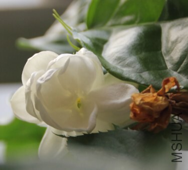 QQ��ͼ20140920222420.jpg