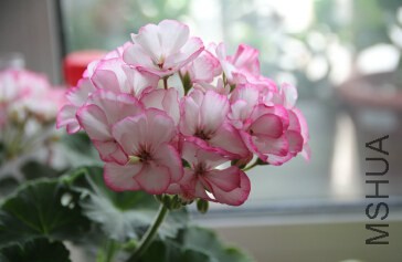 QQ��ͼ20140920222530.jpg