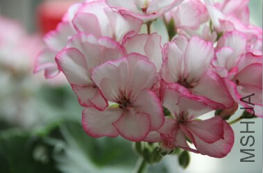 QQ��ͼ20140920222546.jpg