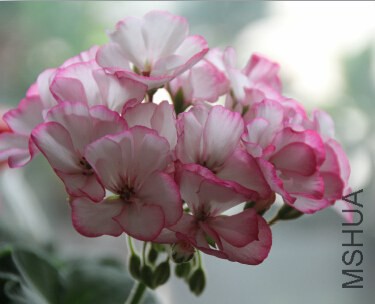 QQ��ͼ20140920222607.jpg