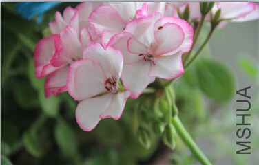 QQ��ͼ20140920222626.jpg