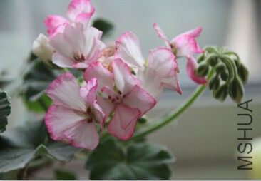 QQ��ͼ20140920222710.jpg