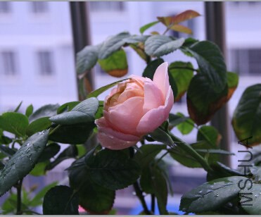 QQ��ͼ20140920222750.jpg