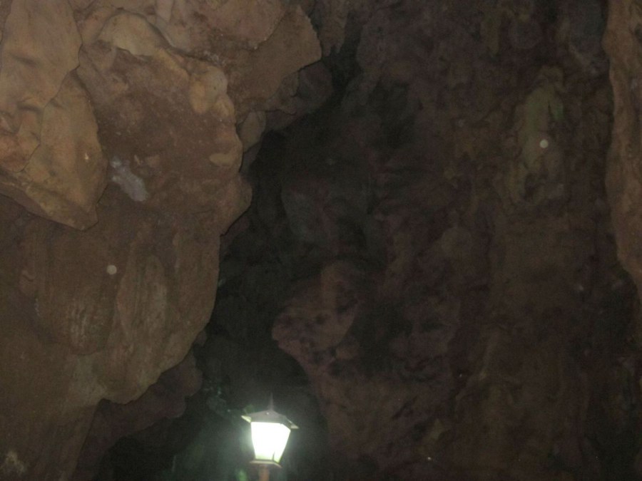 ���� 683_����.jpg