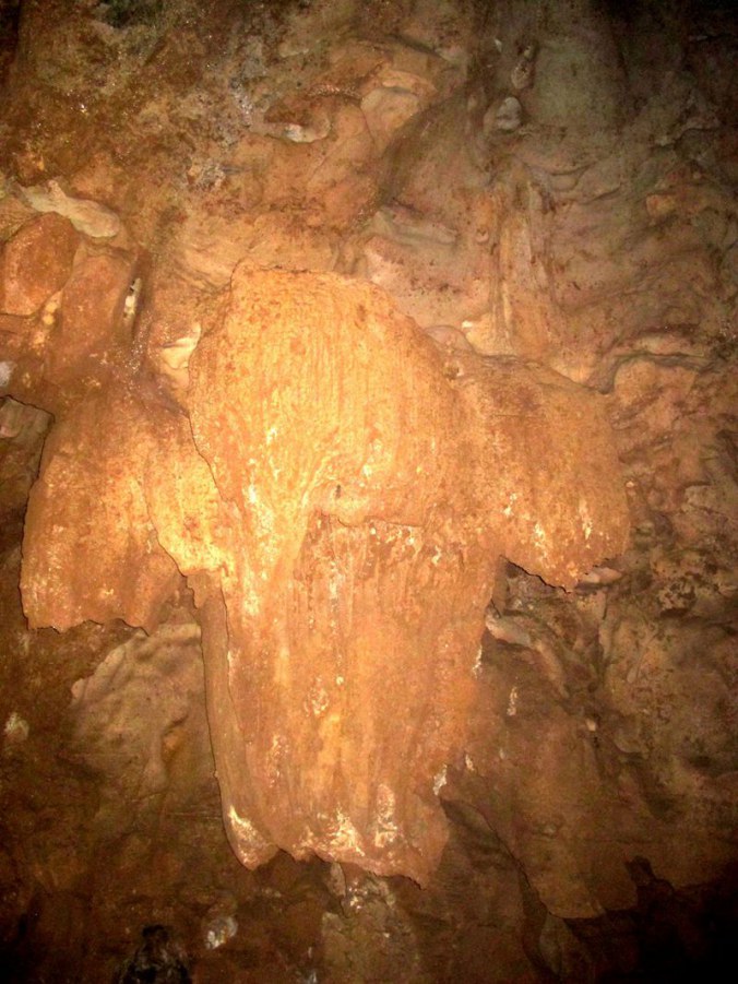 ���� 684_����.jpg