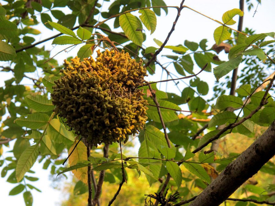 ���� 721_����.jpg