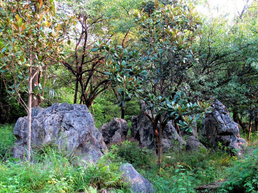 ���� 722_����.jpg