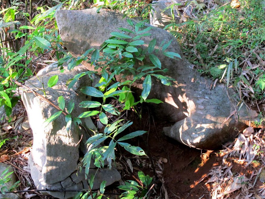 ���� 723_����.jpg