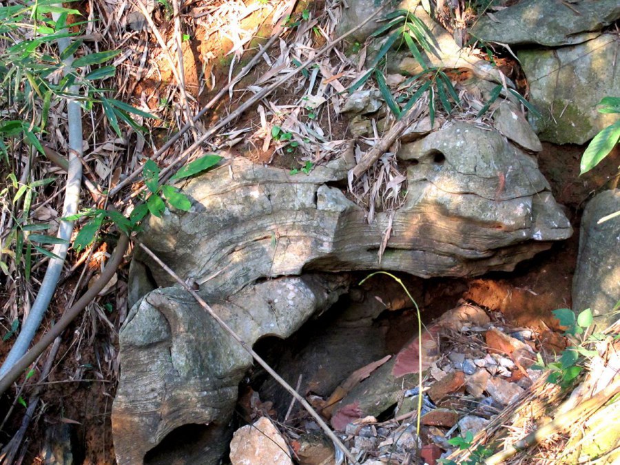 ���� 724_����.jpg