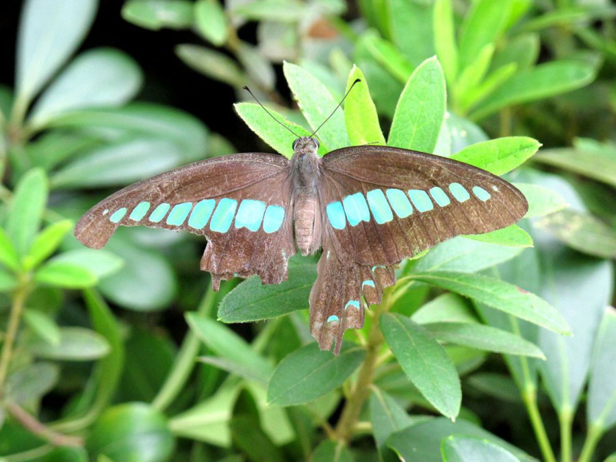 ���� 792_����.jpg