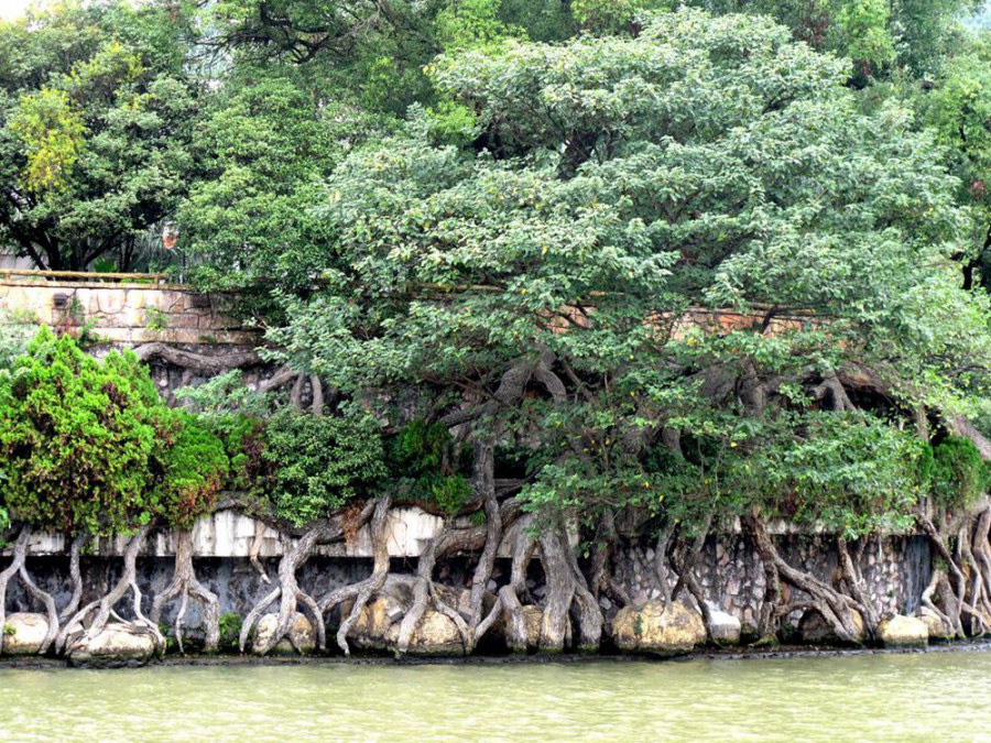 ���� 826_����.jpg