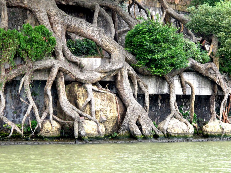 ���� 827_����.jpg