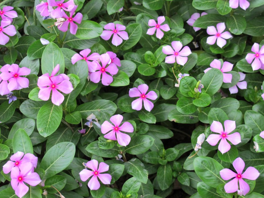 ���� 858_����.jpg