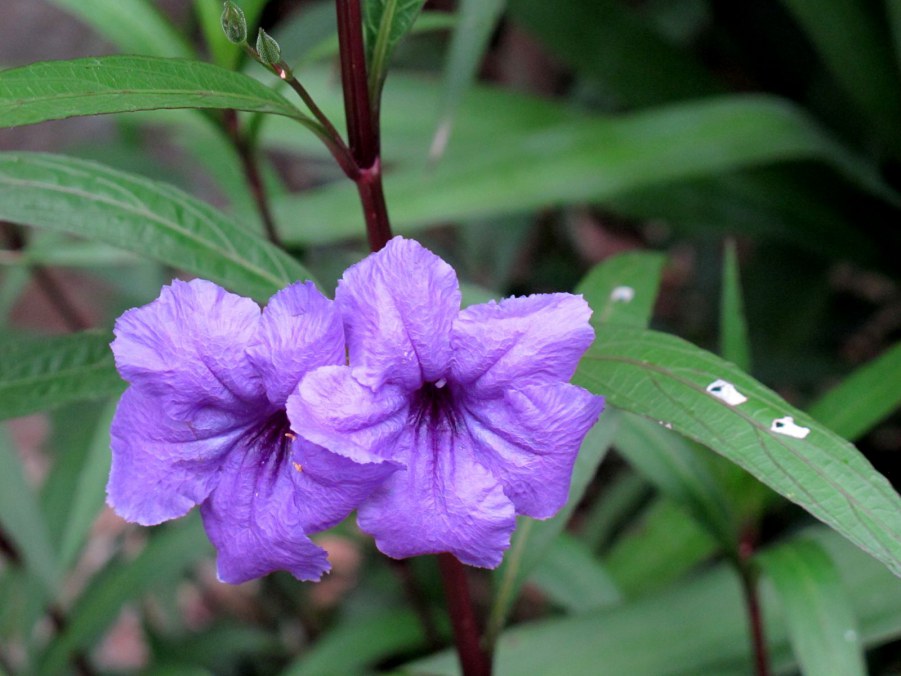 ���� 860_����.jpg