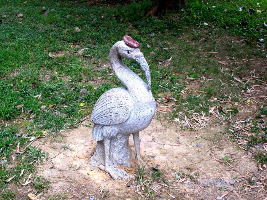 ���� 869_����.jpg