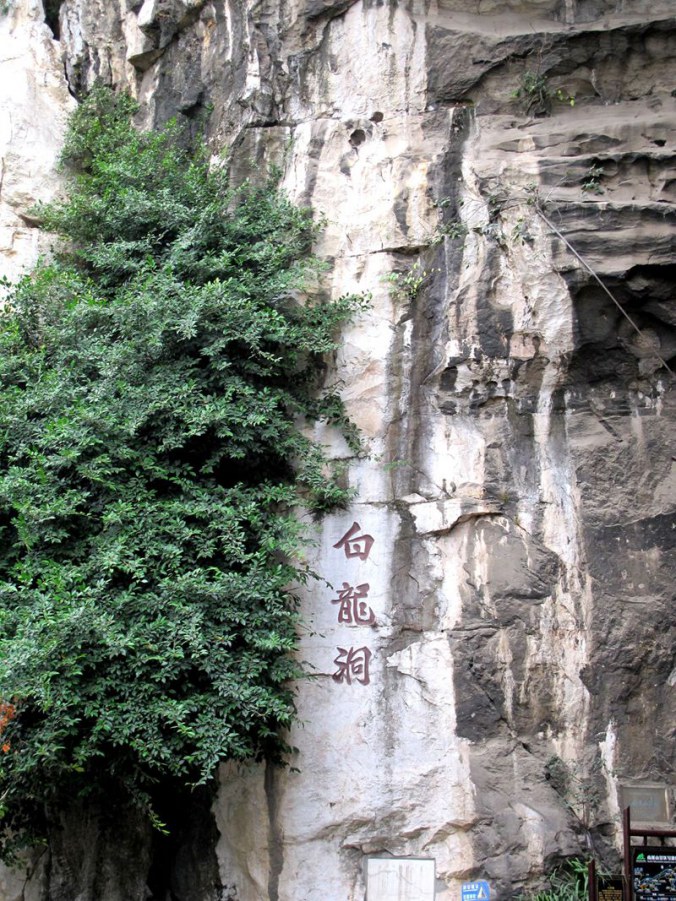 ���� 878_����.jpg