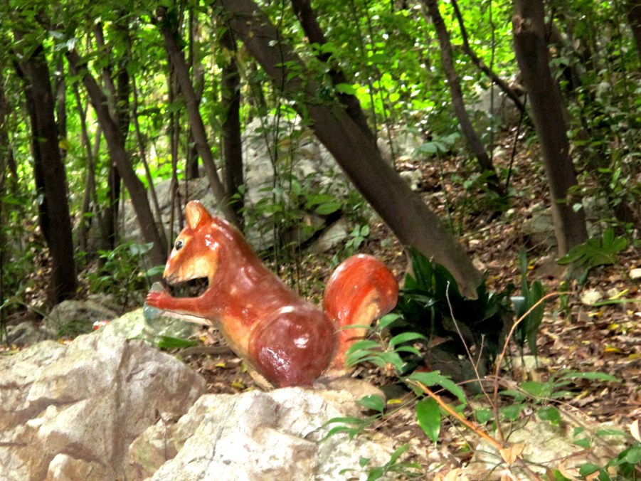 ���� 884_����.jpg