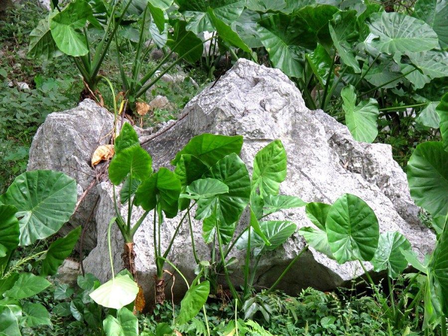 ���� 886_����.jpg