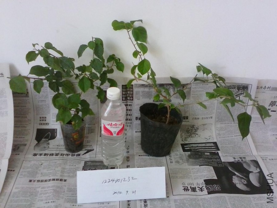 4.С��ȸ �غ�.jpg